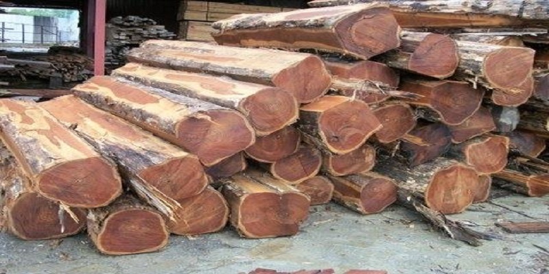 Industrial Round Wood Market - Analysis & Consulting (2018-2024)