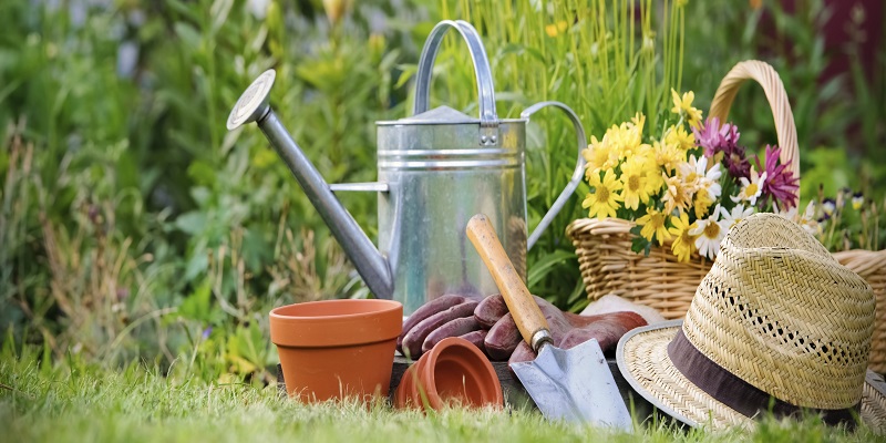 Gardening Products Market - Analysis & Consulting (2018-2024)